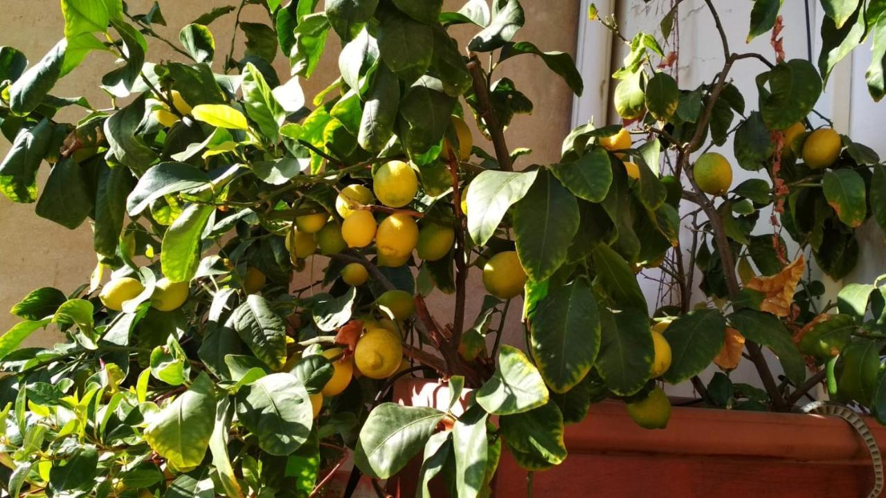 La Casa Dei Fiori Apartamento Florença Exterior foto