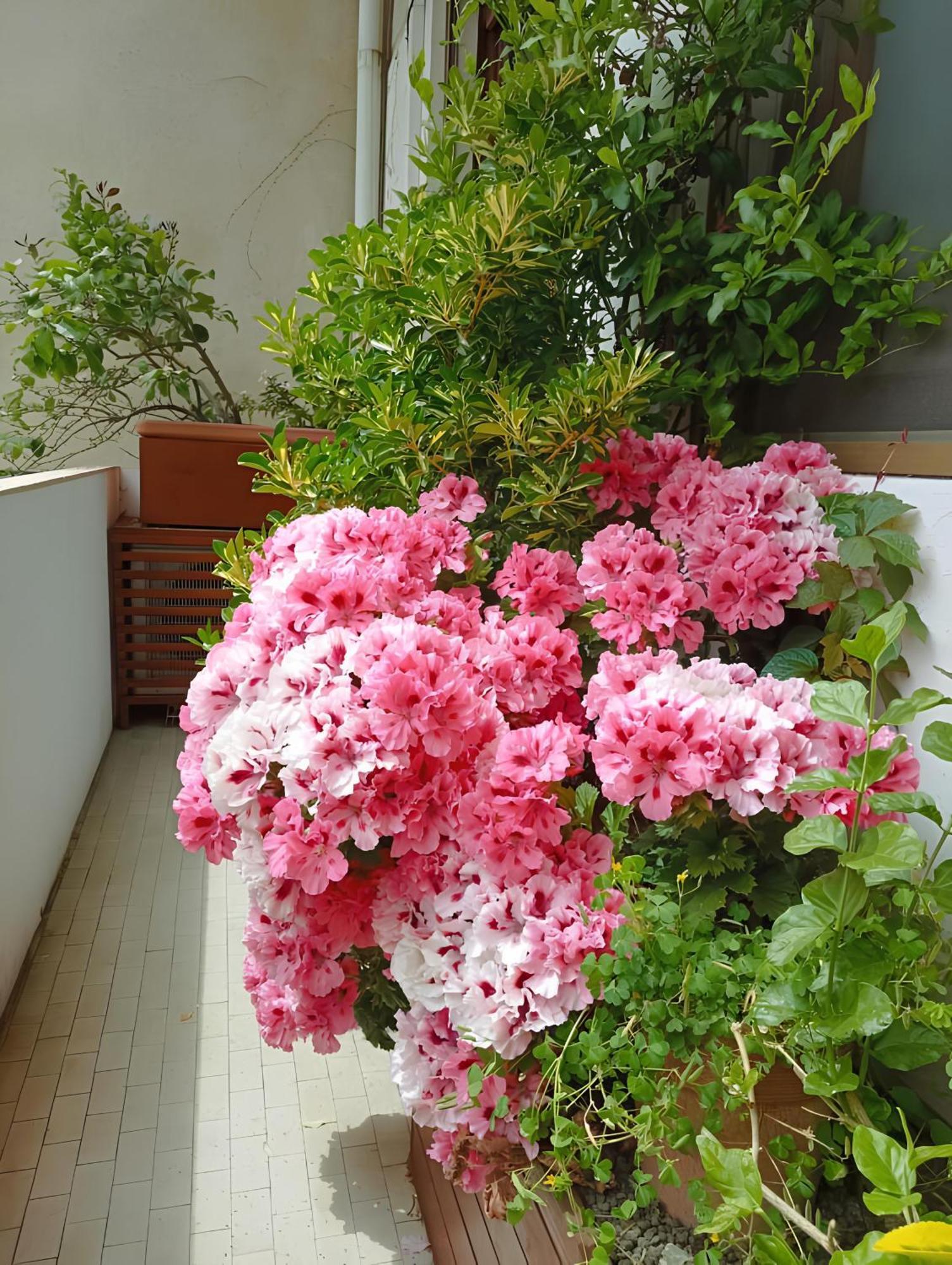 La Casa Dei Fiori Apartamento Florença Exterior foto